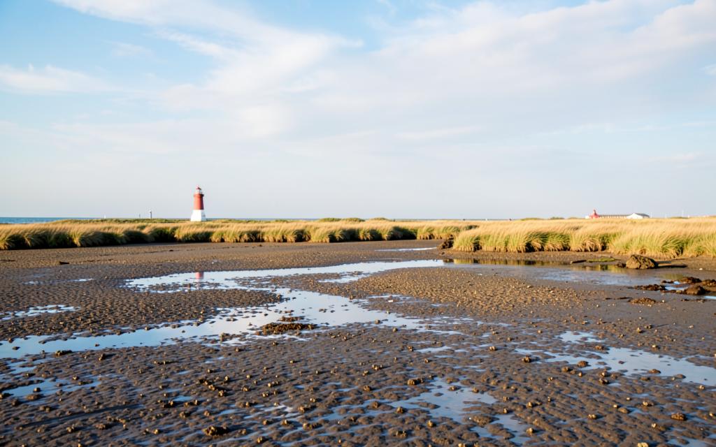 Landschaft in der Region Nordseeküste & Niederlande Nord
